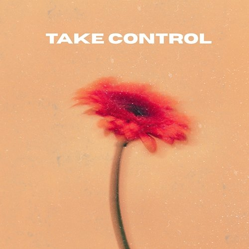 Take Control ERIICE