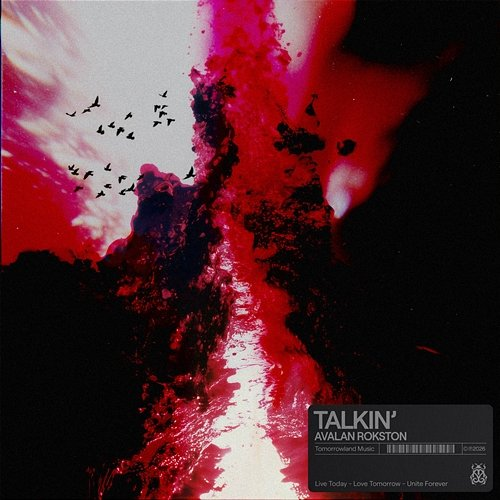 Talkin' AVALAN ROKSTON, Avalan, Rokston