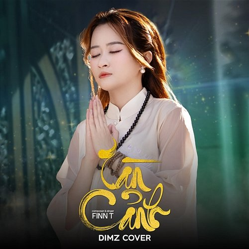 Tàn Cảnh DIMZ, Finn T