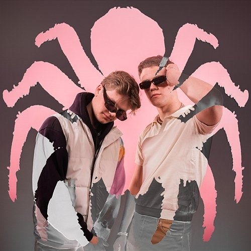 TARANTELLA KLØBB x FEED