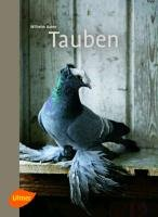 Tauben Bauer Wilhelm