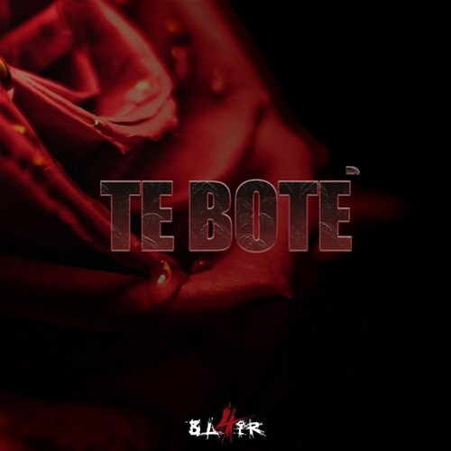 Te Boté BL4IR