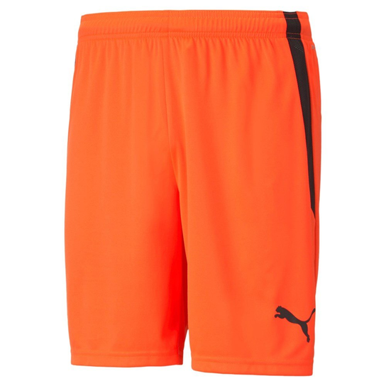 TeamLiga Puma