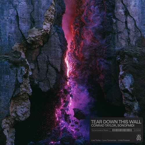 TEAR DOWN THIS WALL Conrad Taylor, sonofmidi