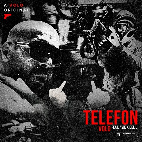 TELEFON Delil, Volo, Avie