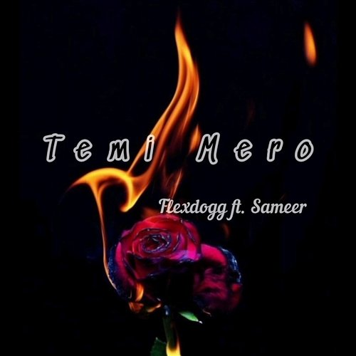Temi Mero Flexdogg feat. Sameer