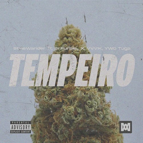 Tempeiro Stviewander feat. Sr.Purple_X, VVVIK, YWG Tuga