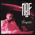 Tempête Nefaste