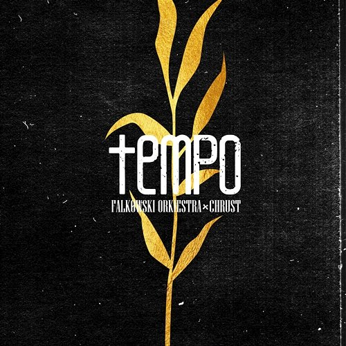 Tempo Chrust, Falkowski Orkiestra