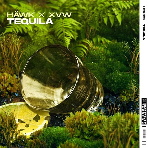 Tequila HÄWK x Max Niklas