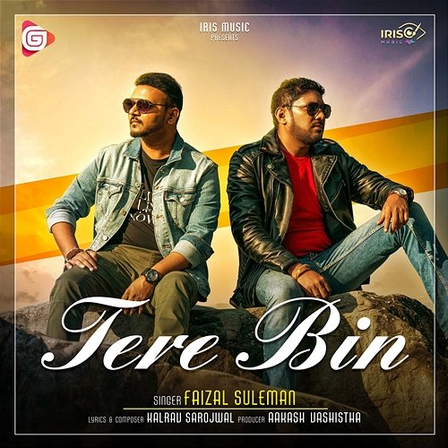 Tere Bin Faizal Suleman