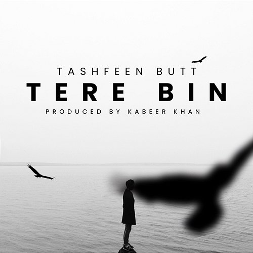 Tere Bin Tashfeen Butt & Kabeer Khan