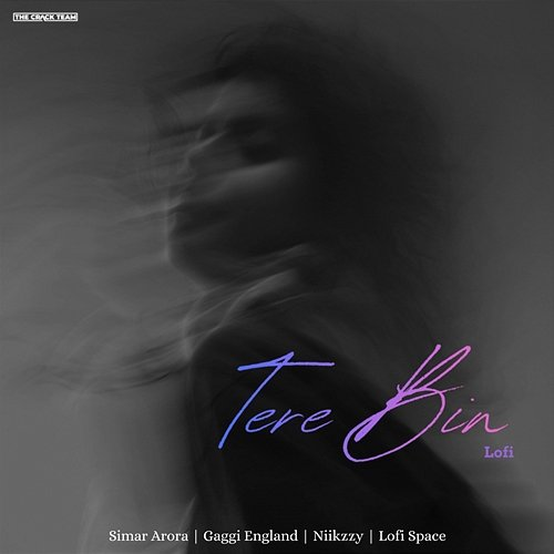 Tere Bin Simar Arora, Lofi Space, Gaggi England, Niikzzy
