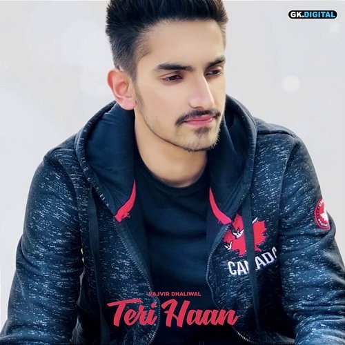 Teri Haan Rajvir Dhaliwal