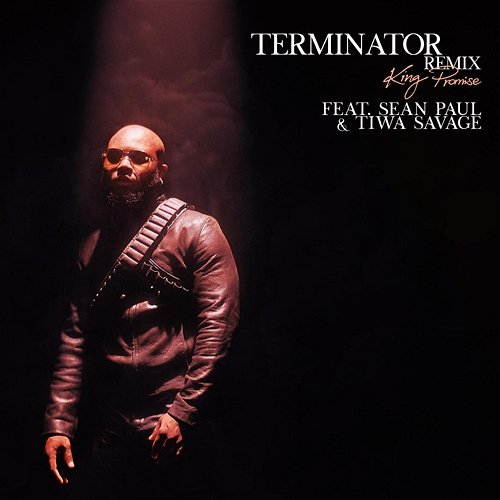 Terminator Sean Paul, King Promise, Tiwa Savage
