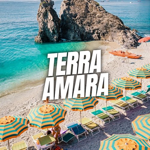 Terra Amara Mute Ensemble, Instrumental Melodies Collective