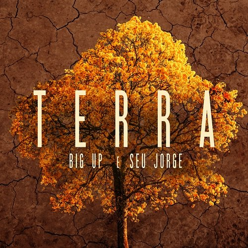 Terra Seu Jorge, Big Up