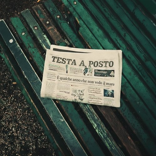 testa a posto Loomy