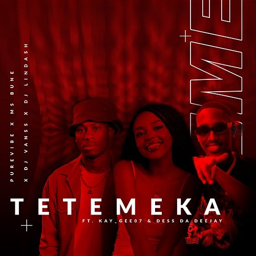 Tetemeka PureVibe, Dj Lindash, & Ms Bune feat. Dess Da Deejay, Dj VansS, Kay_Gee07