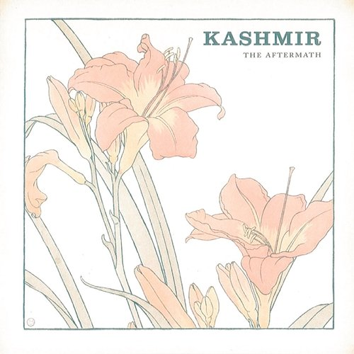 The Aftermath Kashmir