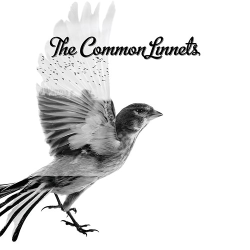 The Common Linnets The Common Linnets