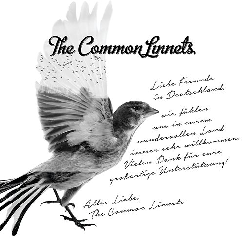 The Common Linnets The Common Linnets