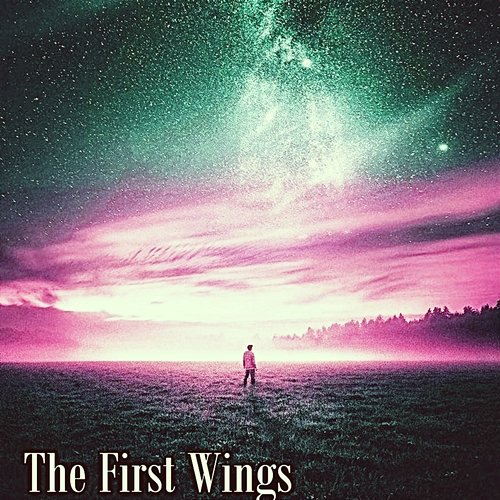 The First Wings Simi Retha