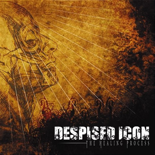 The Healing Process Despised Icon