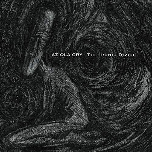 The Ironic Divide Various Artists