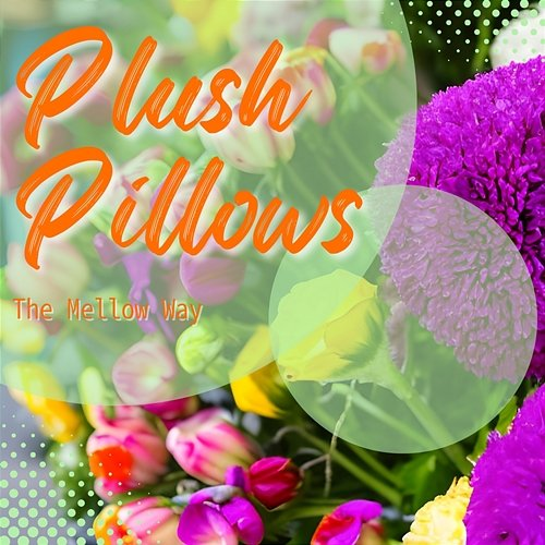 The Mellow Way Plush Pillows
