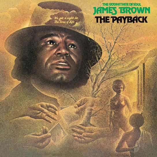 The Payback, płyta winylowa Brown James