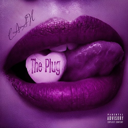 The Plug C A $ H
