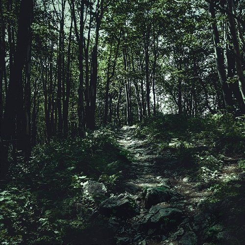 The Savage Fields Cephos