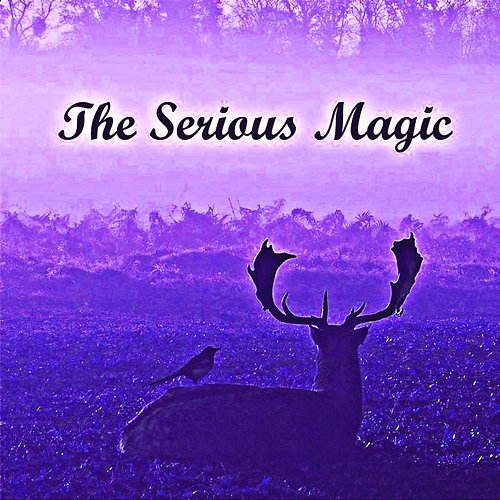 The Serious Magic Diana Becker