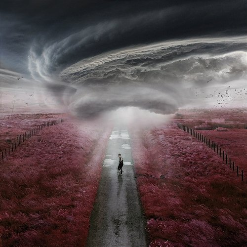 The Storm Dylan Fraser