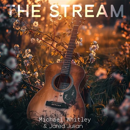 The Stream Michael Whitley