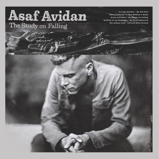 The Study On Falling PL Avidan Asaf