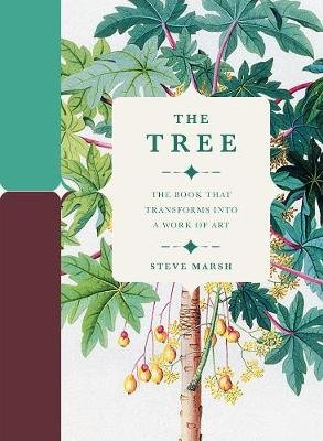 The Tree Marsh Steve