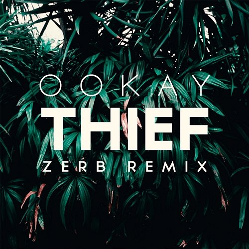Thief Ookay
