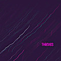 Thieves Roxanne Koontz