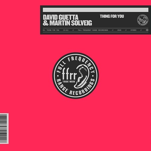 Thing For You David Guetta & Martin Solveig