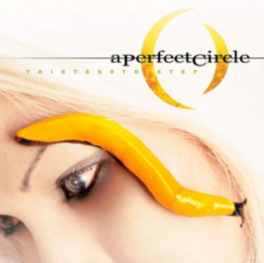 Thirteenth Step A Perfect Circle