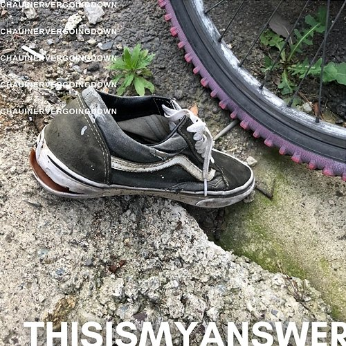 THIS IS MY ANSWER CHA U IN