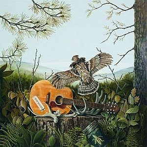 This Machine The Dandy Warhols