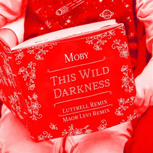 This Wild Darkness Moby