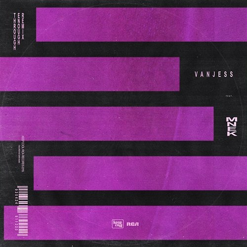 Through Enough REMIX VanJess, MNEK