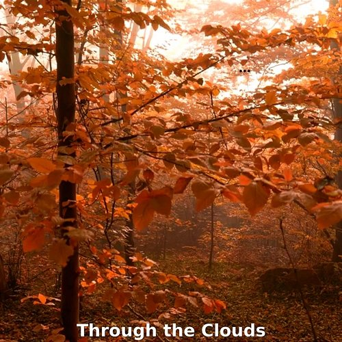 Through The Clouds B Vini & Jeffrey Osbourne