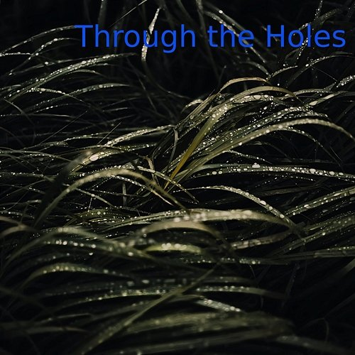 Through the Holes Cory Brody