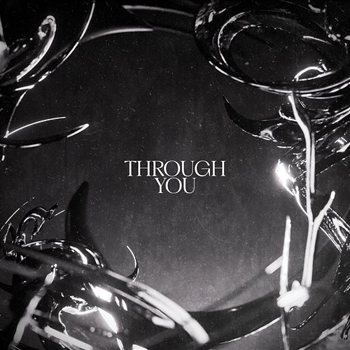 Through You Basstripper