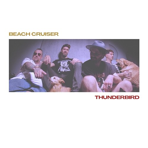 Thunderbird Beach Cruiser